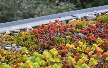 the cost of Tarnbrook green roof installation